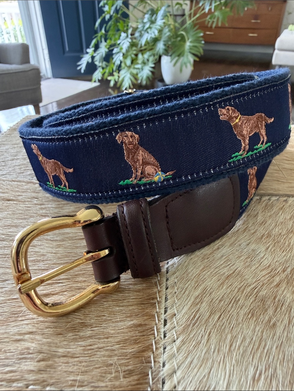 Alynn Preppy Brown Lab Dog Adjustable Belt 29-42”